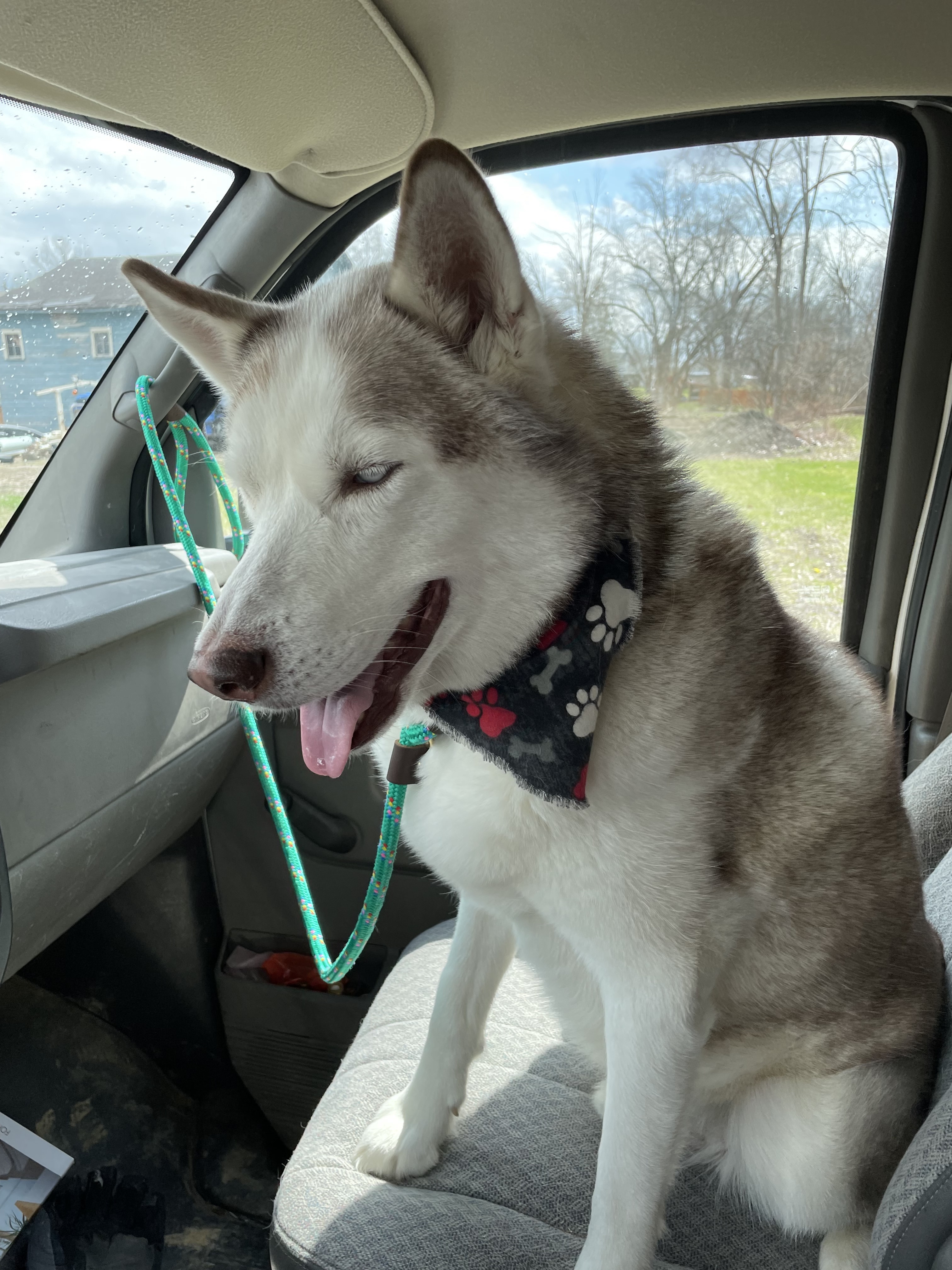 keegan in the car