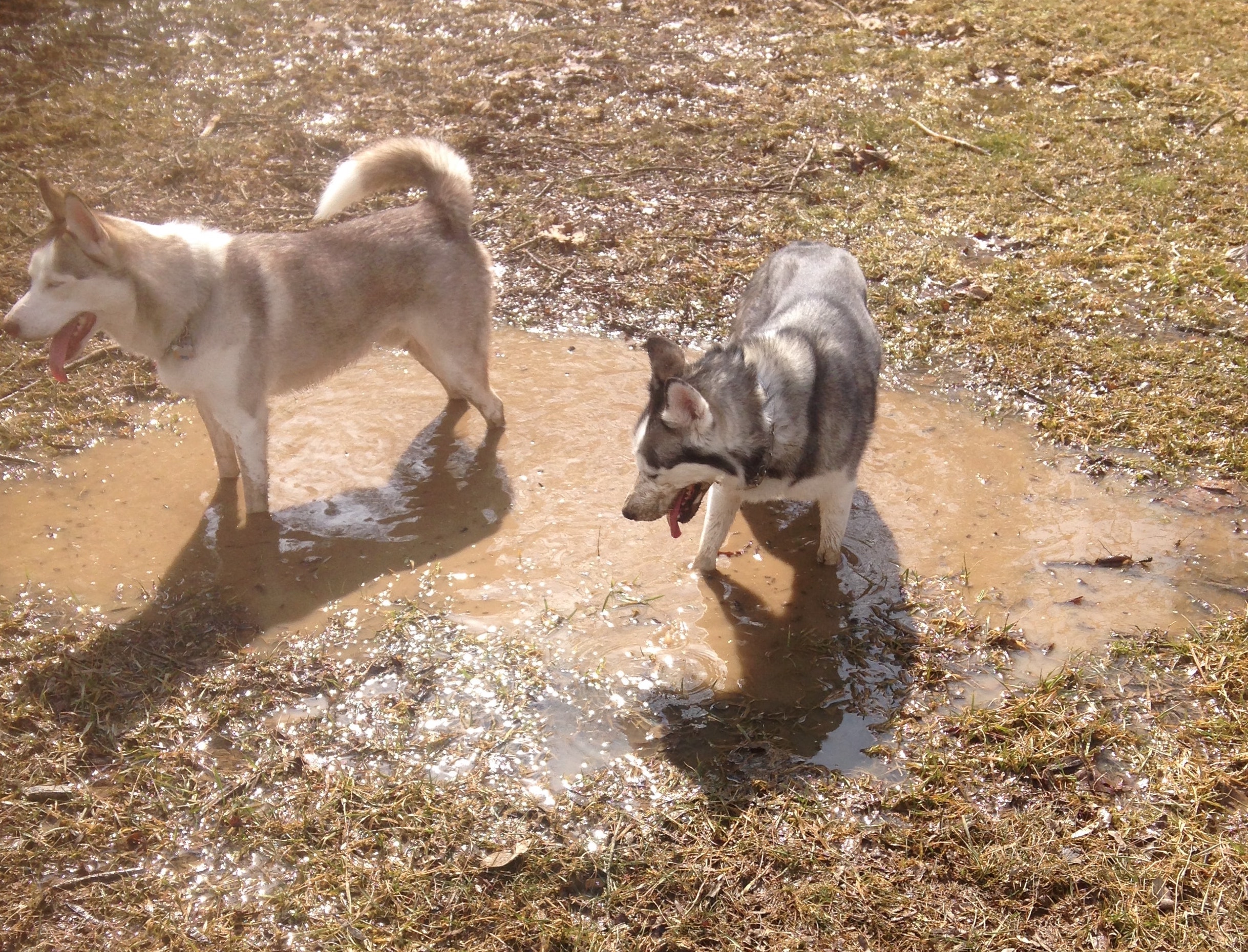 Kya playing in the mud with Keegan